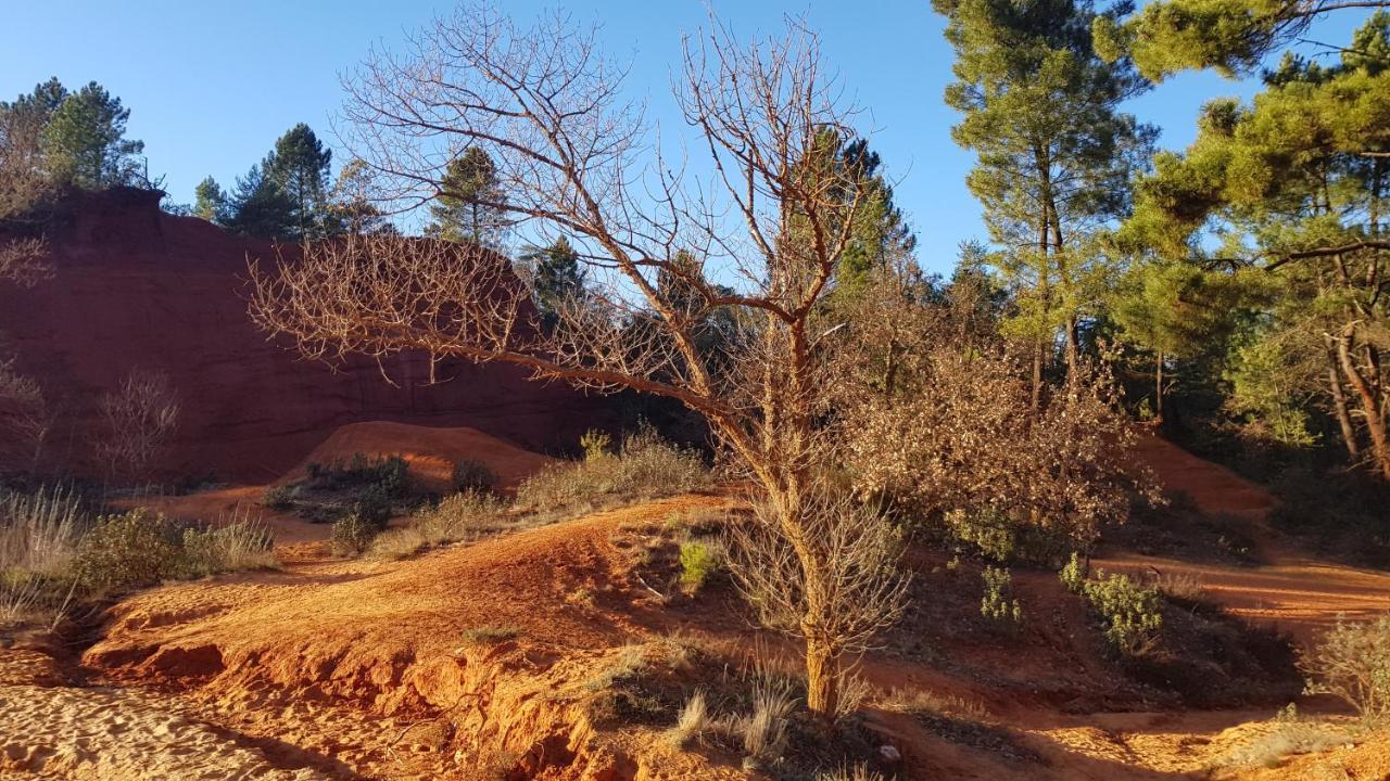Gite Hanna En Luberon - Le Boisset De St Martin De Castillon Saint-Martin-de-Castillon Ngoại thất bức ảnh