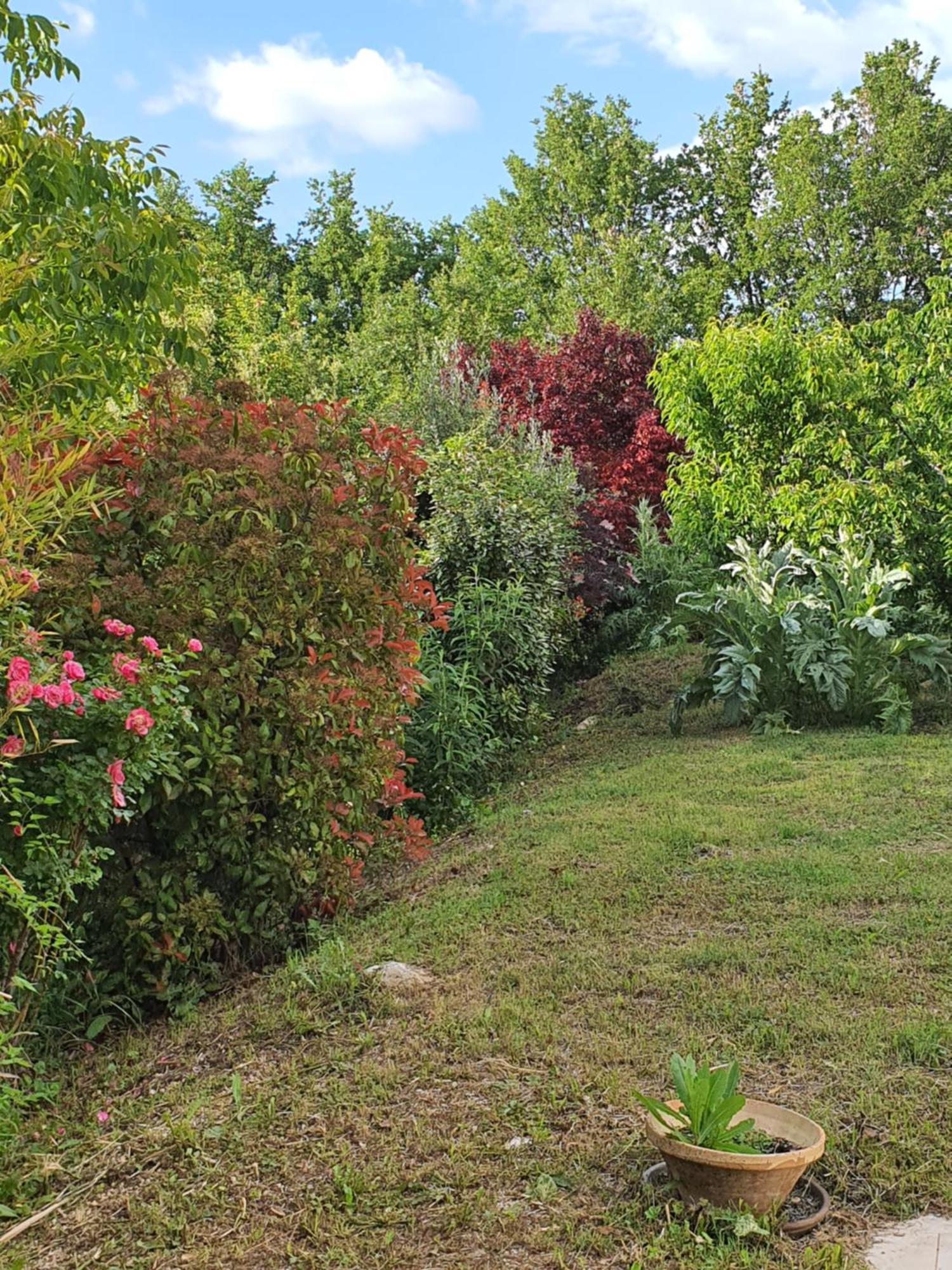 Gite Hanna En Luberon - Le Boisset De St Martin De Castillon Saint-Martin-de-Castillon Ngoại thất bức ảnh