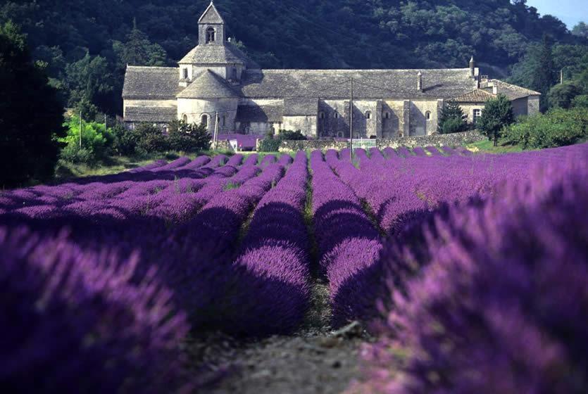 Gite Hanna En Luberon - Le Boisset De St Martin De Castillon Saint-Martin-de-Castillon Ngoại thất bức ảnh